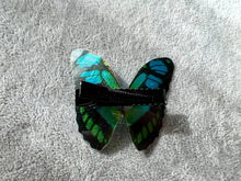 Load image into Gallery viewer, Black Blue Green Shiny Butterfly Hair Clip Nymph Natural Hair Pin Gift For Her