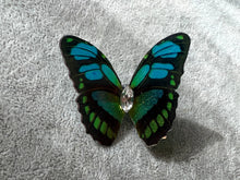 Load image into Gallery viewer, Black Blue Green Shiny Butterfly Hair Clip Nymph Natural Hair Pin Gift For Her