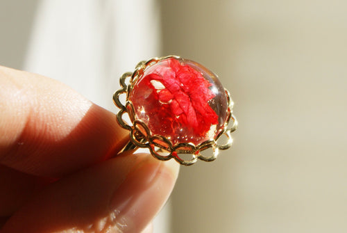 Resin Ring, Daisy Cherry Blossoms Silver Gold Plated Lace Circle Flower Red caldesia Rainbow Glow Reflection Sakura