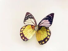Load image into Gallery viewer, Yellow Black Shiny Butterfly Hair Clip Nymph