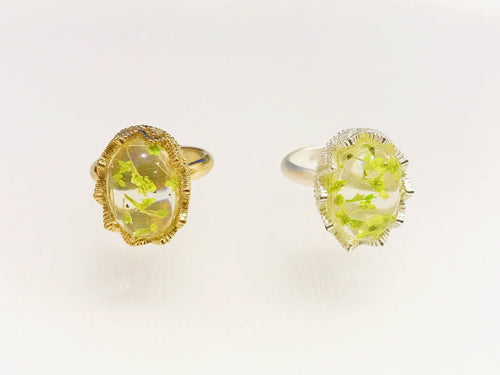 Resin Ring, Daisy Cherry Blossoms Silver Gold Plated Lace oval Flower green caldesia Rainbow Glow Reflection