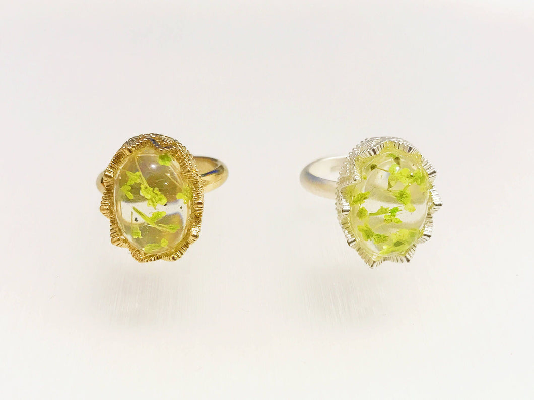 Resin Ring, Daisy Cherry Blossoms Silver Gold Plated Lace oval Flower green caldesia Rainbow Glow Reflection