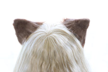 Load image into Gallery viewer, Teddy Brown Cat ears Kitty kitten Cosplay Anime Headwear Long Mix Furry Animal Hair clip Hairpin Costume Natural Simulation