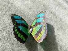 Load image into Gallery viewer, Black Blue Green Shiny Butterfly Hair Clip Nymph Natural Hair Pin Gift For Her